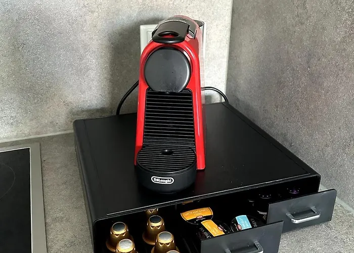 In Fuer 6 Gaeste Mit 2 Baedern Und Loggia Lejlighed Ahaus